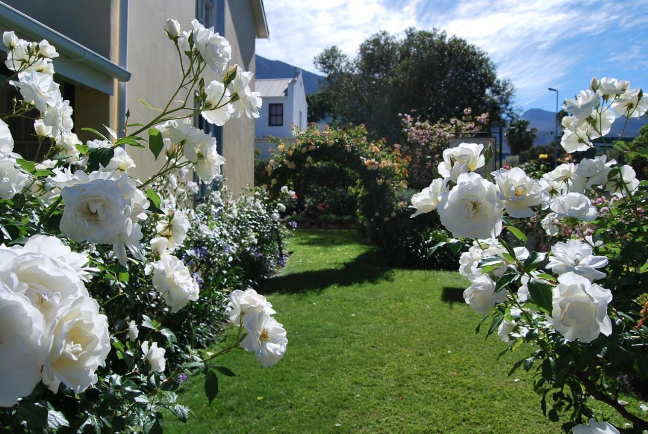 Lavender Cottage Franschhoek Exteriör bild